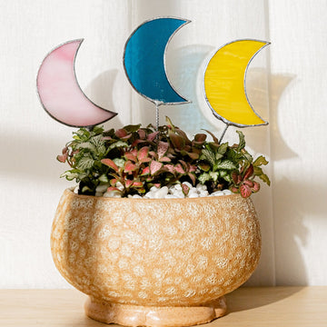 Stained Glass Moon Plant Stakes Decor and Garden Decor F47